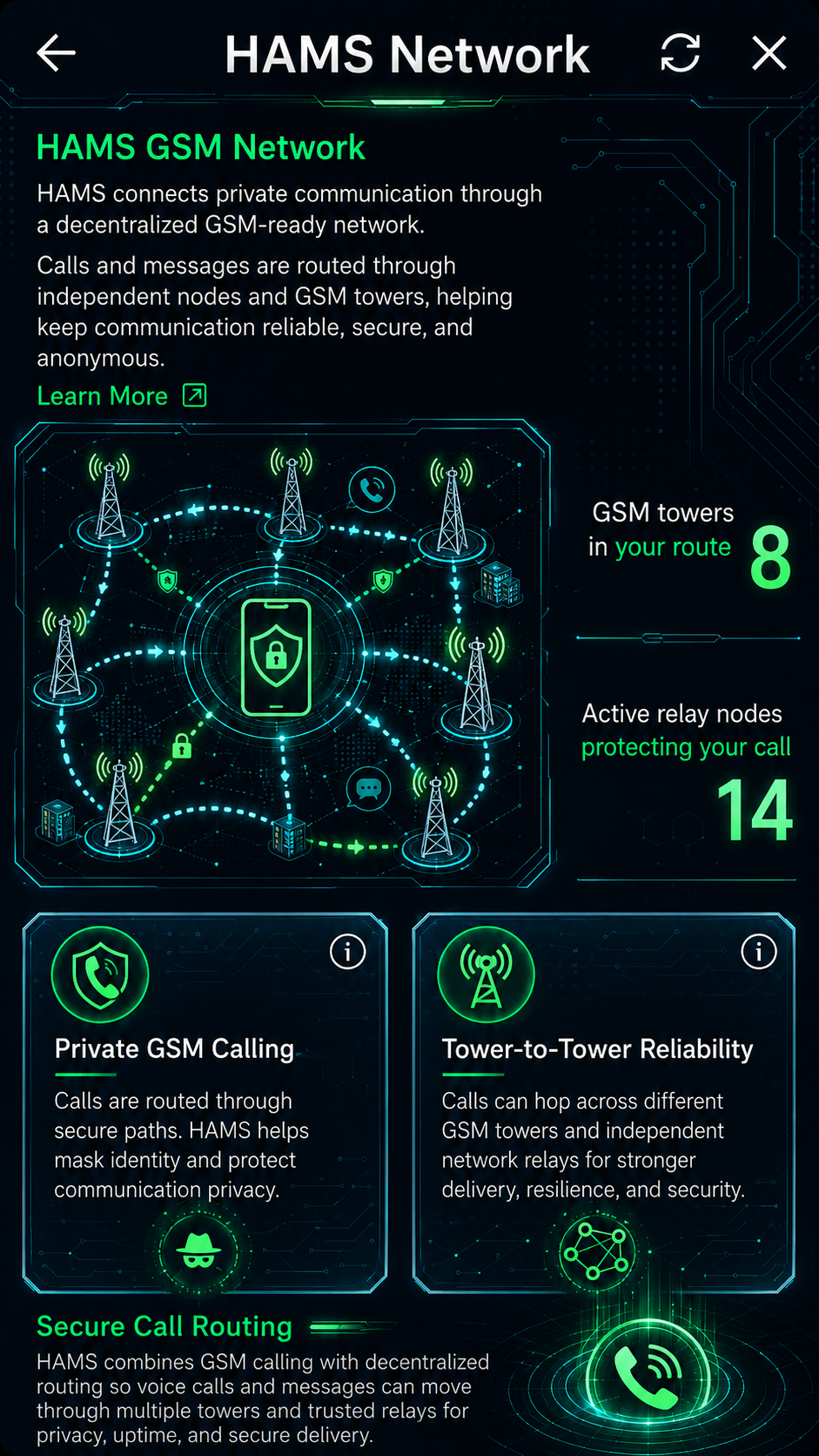 HAMS GSM network overview
